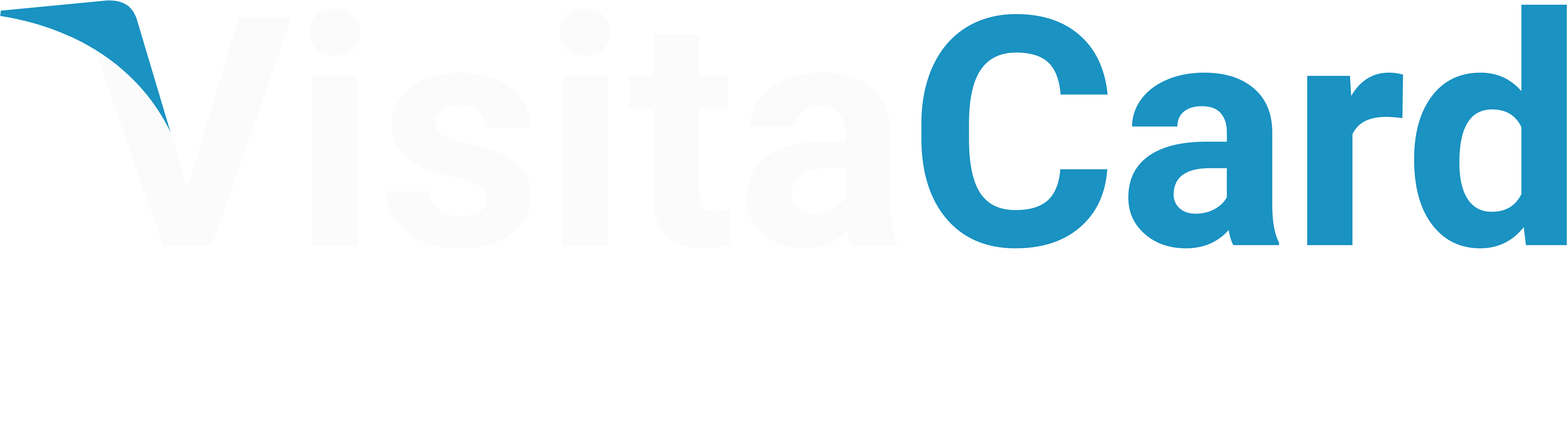 VisitaCard Brand